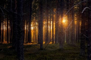 Middernachtzon Finland reisfotografie