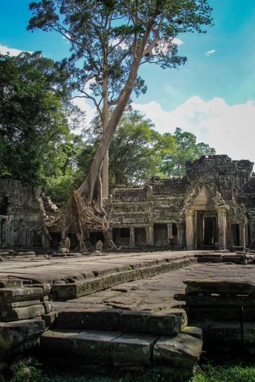 Reisfotografie Ta Prohm Cambodja tempel