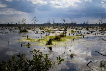 Reisfotografie Angkor Wat Cambodja